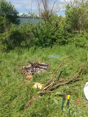 Vând teren intravilan în Milcov Deal - imagine 6