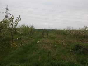 Vând teren intravilan în Milcov Deal - imagine 3