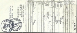 MAN FAS 19.321 tractiune 4x4 reductor cu troliu forestier, remorcă agricola - imagine 5