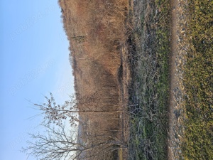 892 mp teren intravilan de vanzare - imagine 3