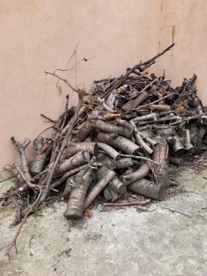 Vand, Lemne de foc, Esenta, Taiate, 1300 Kg