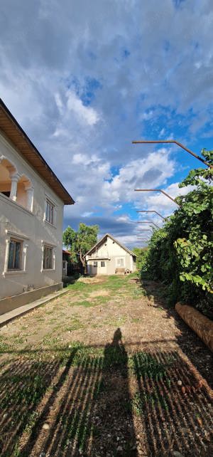 Vand casa la tara cu livada - imagine 3