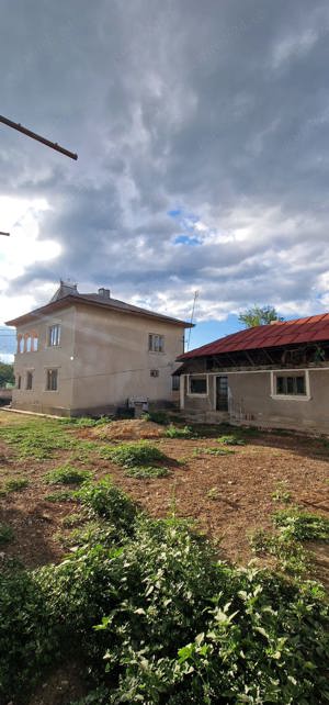 Vand casa la tara cu livada - imagine 4
