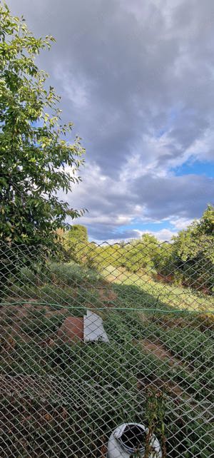 Vand casa la tara cu livada - imagine 5