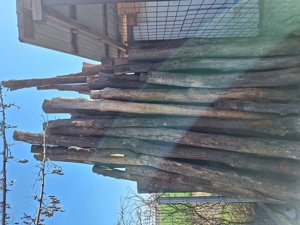 Vând lemne de salcâm 