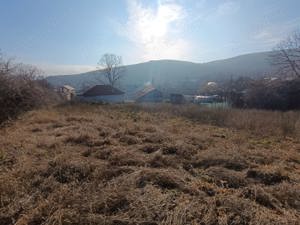 Doua terenuri de vanzare + doua case  - imagine 6