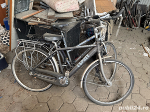 Lot bicilete olandeze