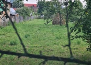 Teren de vânzare în Brebu - Zona Brebu Mânastirei