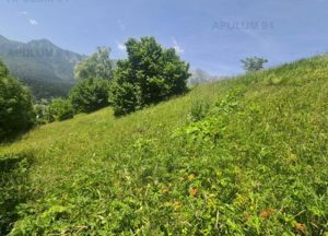 Teren de vânzare în Bușteni - Zona Zamora - imagine 5