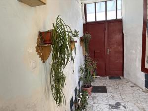 Casa central singur in curte  - 150 mp util - 411 mp curte - imagine 8