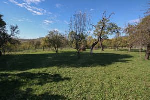 Teren intravilan cartier Poiana, fara inclinatie - imagine 2