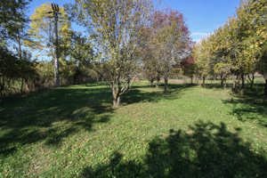 Teren intravilan cartier Poiana, fara inclinatie - imagine 5