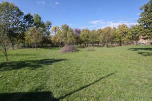 Teren intravilan cartier Poiana, fara inclinatie - imagine 4