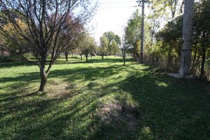 Teren intravilan cartier Poiana, fara inclinatie - imagine 8