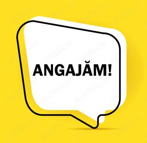 Angajam vanzator operator magazin fizic online