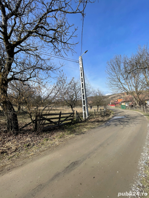 vand taren intravilan in cacova ierii 