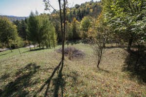 Teren intravilan Podul lui Neag - imagine 4