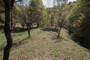 Teren intravilan Podul lui Neag - imagine 2