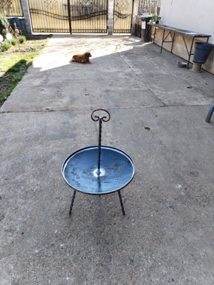 Gratar si Disc Picnic