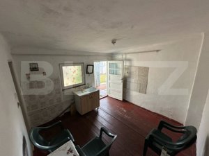 Casa Calea Domnească 70mp, teren 350mp - imagine 17