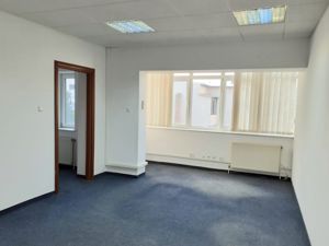 Spatiu birouri- Ion Mihalache- Ciuperca-Expozitiei - imagine 7