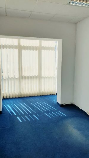 Spatiu birouri- Ion Mihalache- Ciuperca-Expozitiei - imagine 10