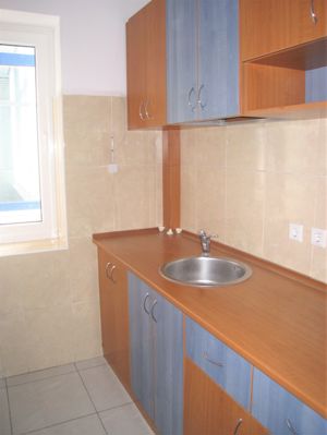 Spatiu birouri- Ion Mihalache- Ciuperca-Expozitiei - imagine 9