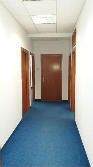 Spatiu birouri- Ion Mihalache- Ciuperca-Expozitiei - imagine 6