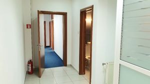 Spatiu birouri- Ion Mihalache- Ciuperca-Expozitiei - imagine 8