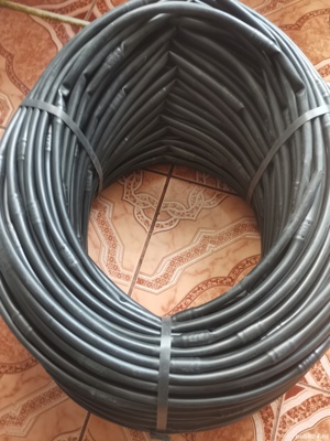 furtune picuratoare - imagine 3