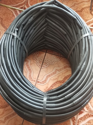 furtune picuratoare - imagine 2