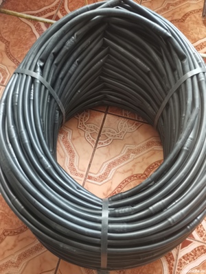 furtune picuratoare - imagine 5