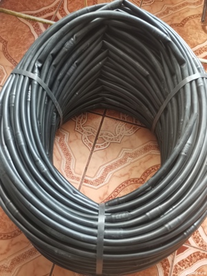 furtune picuratoare - imagine 4