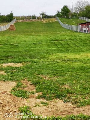 Teren 5000 mp,sat Lelesti, jud Gorj