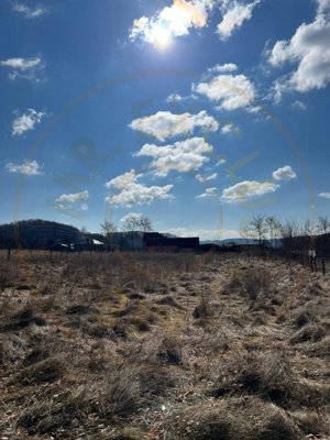 Teren Cicanesti Arges, la 10 KM de Transfagarasan - Comision 0% - imagine 3