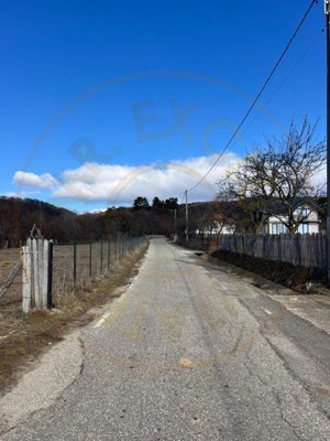 Teren Cicanesti Arges, la 10 KM de Transfagarasan - Comision 0% - imagine 4