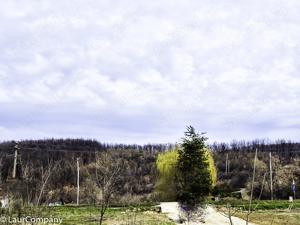 Casa Draganu Arges - imagine 9 Casa Draganu Arges - imagine 9