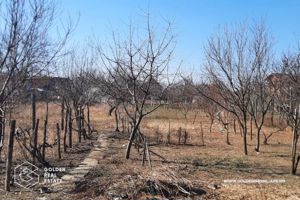 Casa mare in Paulis, la drumul principal, 1500 mp teren - imagine 5