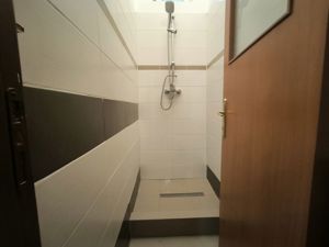 Spatiu Comercial Micalaca, Malul Muresului, zona 300 vizavi UAV - imagine 14