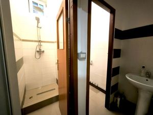 Spatiu Comercial Micalaca, Malul Muresului, zona 300 vizavi UAV - imagine 12