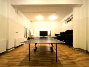 Spatiu Comercial Micalaca, Malul Muresului, zona 300 vizavi UAV - imagine 5