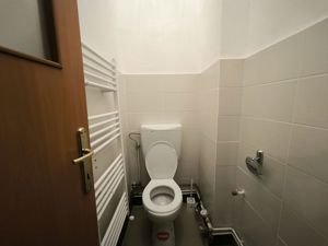 Spatiu Comercial Micalaca, Malul Muresului, zona 300 vizavi UAV - imagine 13