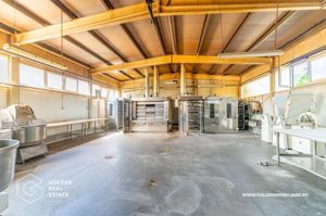 Locuinta de familie cu spatiu ideal pentru dezvoltarea unei afaceri - imagine 14