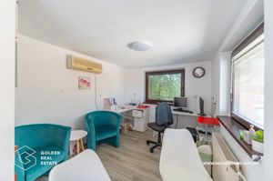 Locuinta de familie cu spatiu ideal pentru dezvoltarea unei afaceri - imagine 11