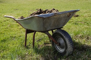 Gunoi de grajd, In Satul Valea Lupsii