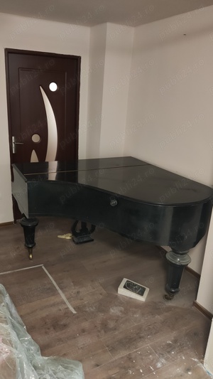 Pian Vienez premiat cu aur. - imagine 3