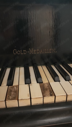 Pian Vienez premiat cu aur. - imagine 4