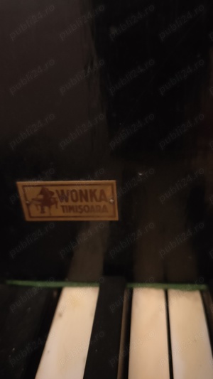 Pian Vienez premiat cu aur. - imagine 5