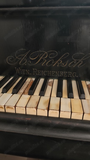Pian Vienez premiat cu aur. - imagine 2
