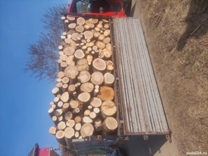 Vand lemn de foc esenta tare fag stejar carpen  - imagine 2